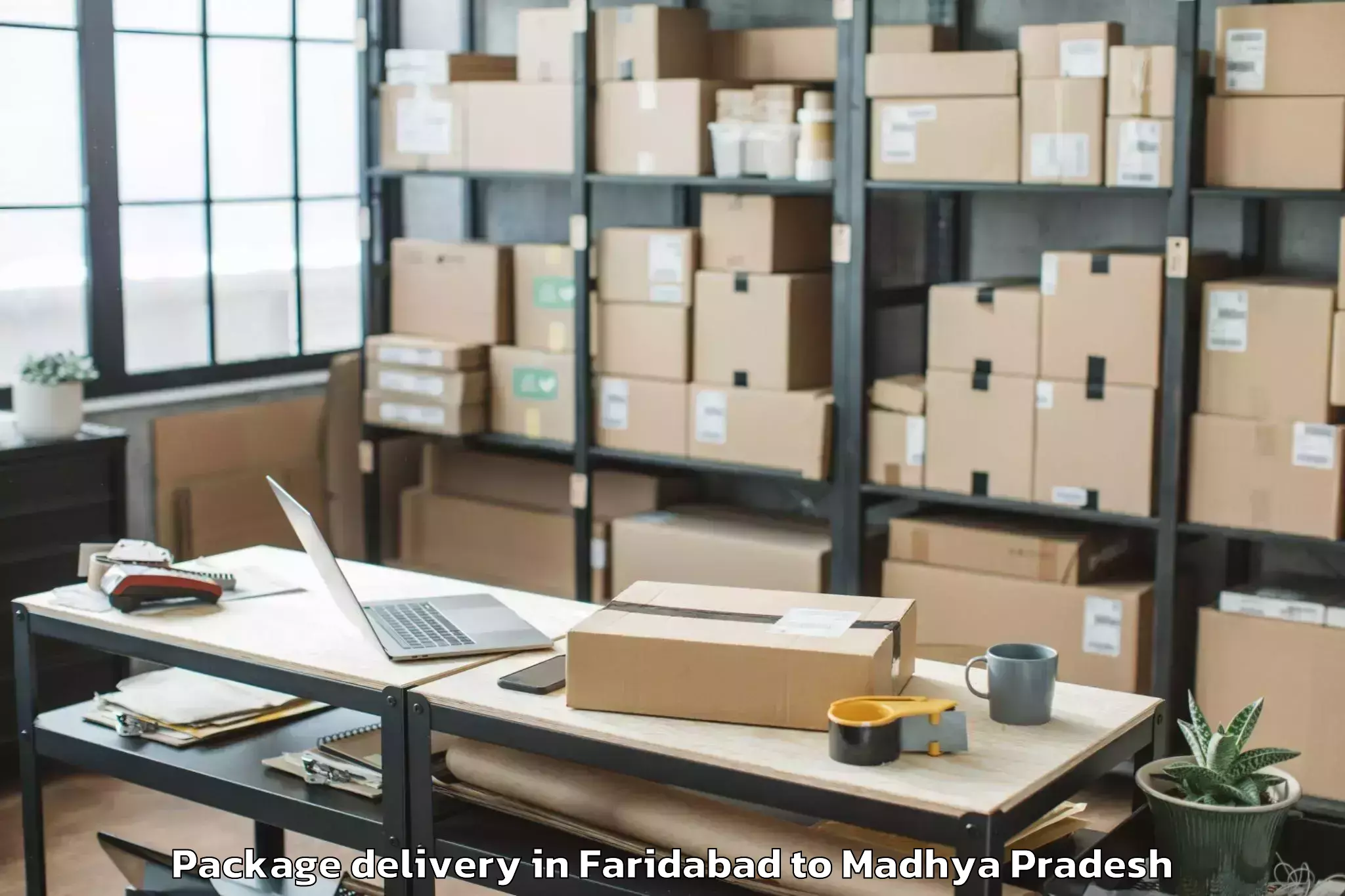 Book Faridabad to Nagod Package Delivery